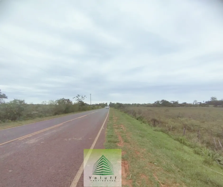 TERRENO DE 24 HECTÁREAS SOBRE RUTA ASFALTADA EN VILLETA — foto 3