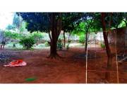 VENDO EN LUQUE CENTRO PROPIEDAD PARA DESARROLLO