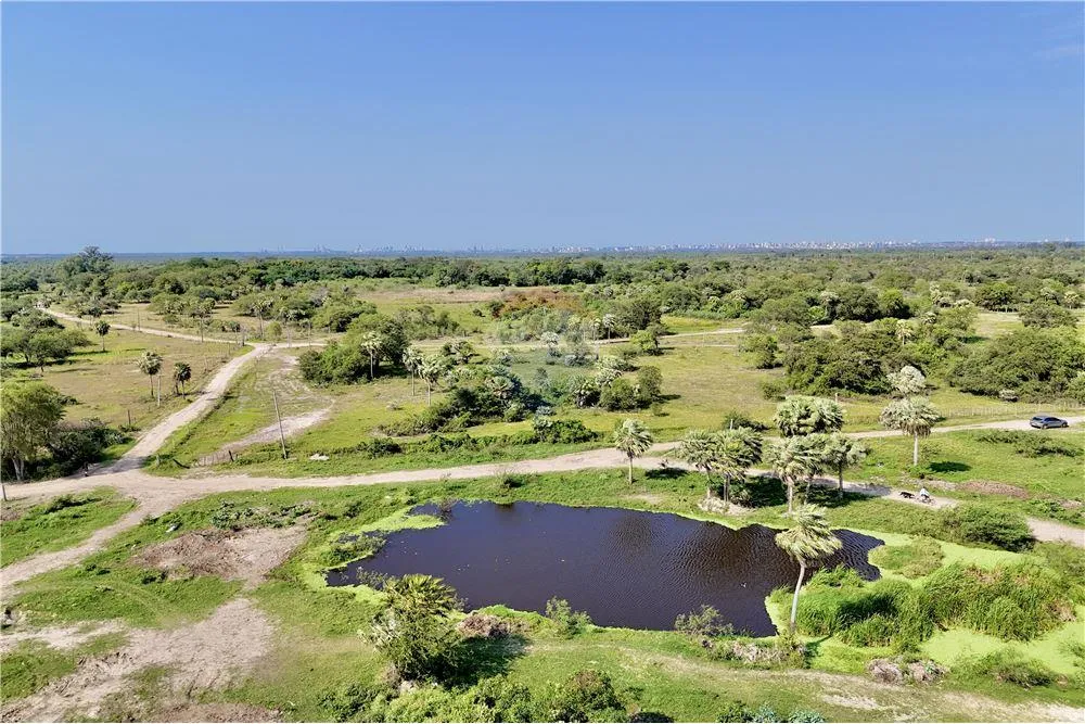 EN VENTA 50 HECTAREAS EN JOSE FALCON — foto 2