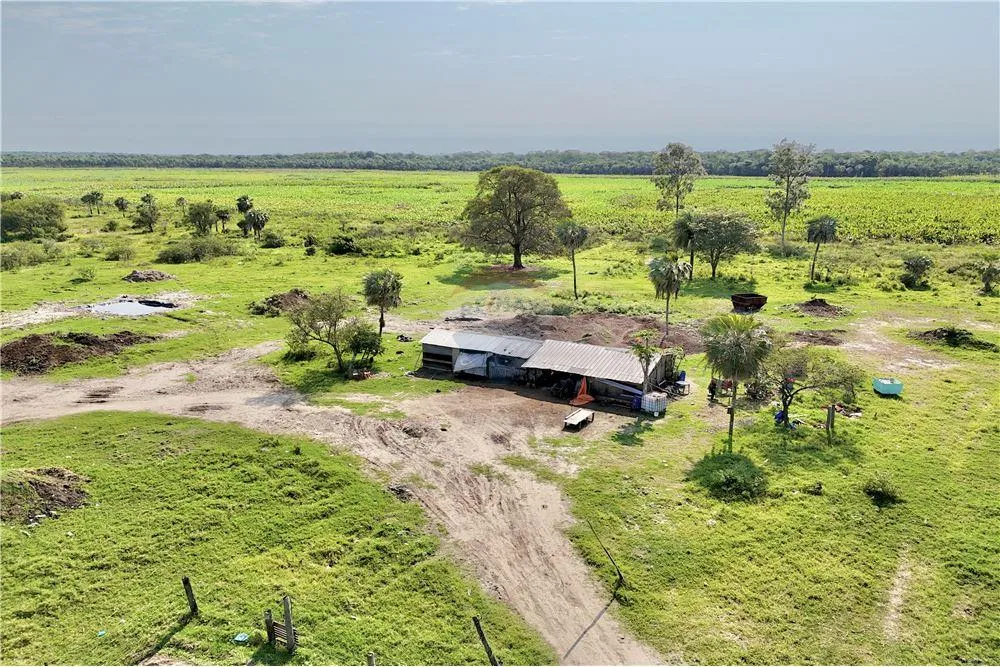 EN VENTA 50 HECTAREAS EN JOSE FALCON — foto 3