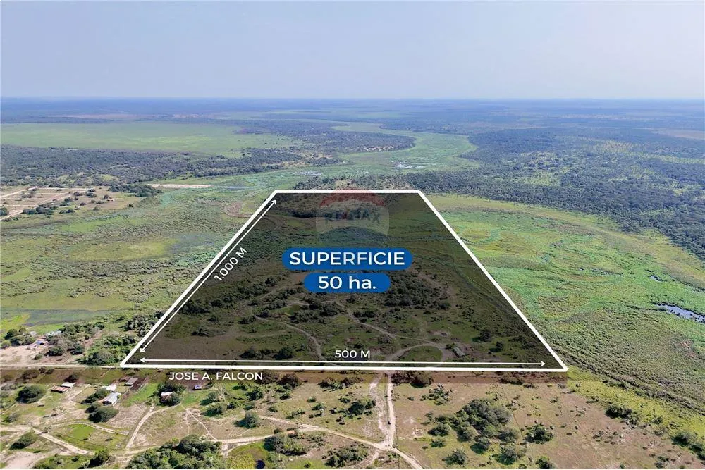 EN VENTA 50 HECTAREAS EN JOSE FALCON — foto 2