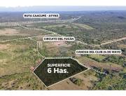 Oportunidad Única! Venta de 6 Hectáreas y 4000 m²