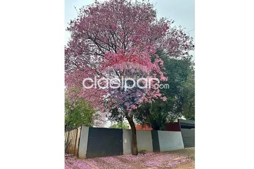 Terreno-Venta-PY Central Luque Campo Grande — photo 3