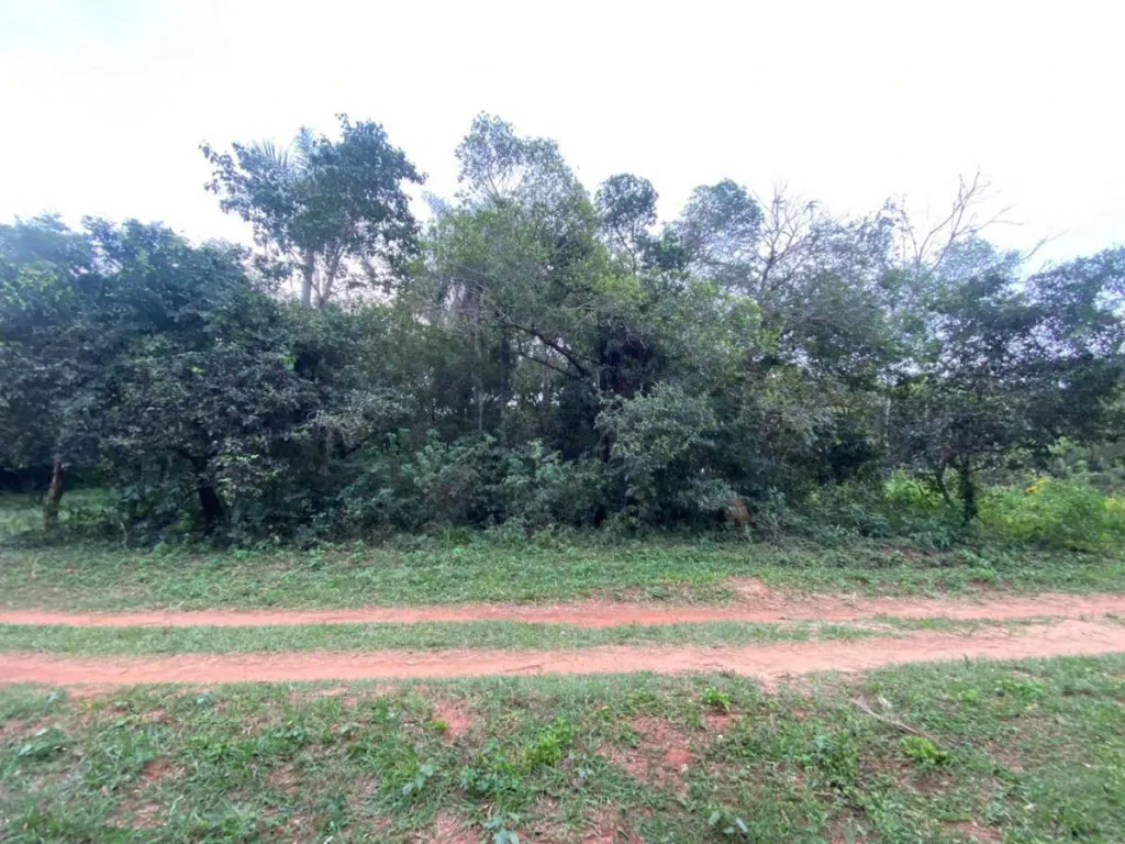 VENDO TERRENO EN ALTOS, CORDILLERA — foto 2