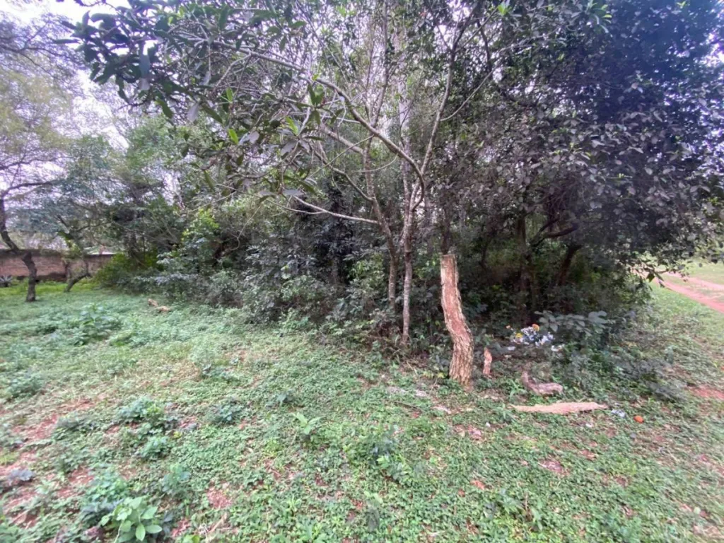 VENDO TERRENO EN ALTOS, CORDILLERA — foto 3