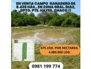 EN VENTA CAMPO GANADERO DE 8.430 HECTAREAS EN GRAL. DIAZ, DPTO DE PTE. HAYES, CHACO!!