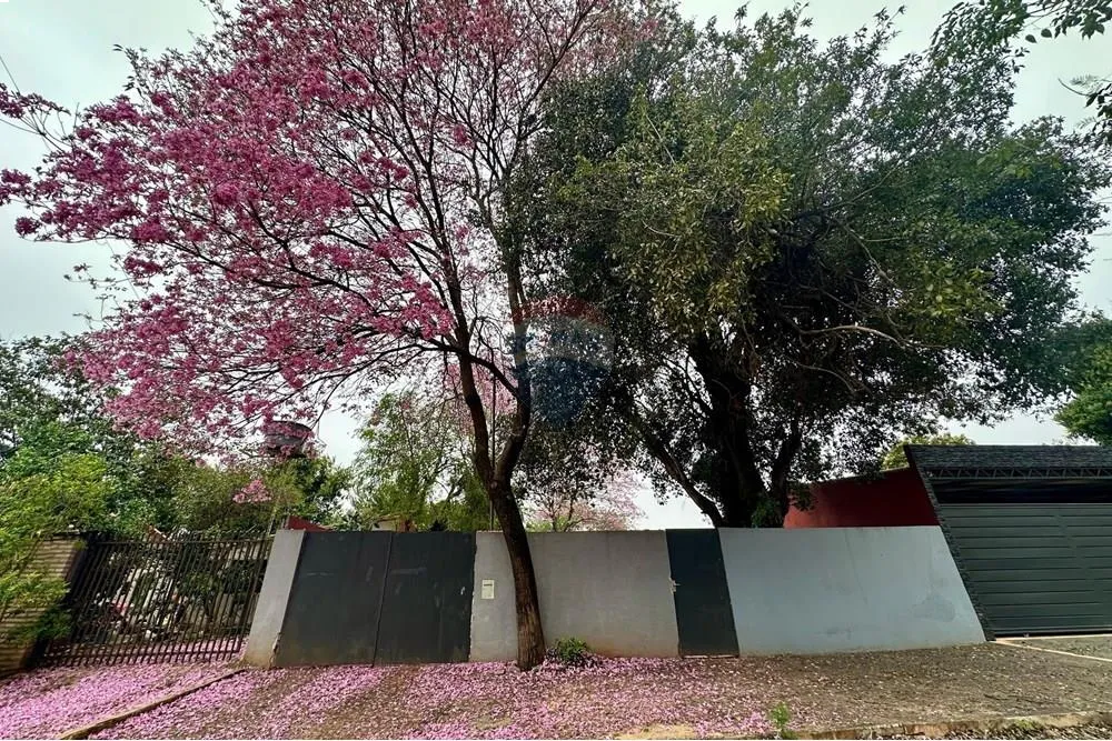 Terreno en Venta - Luque — photo 3