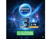 Gemini Pro por 6meses