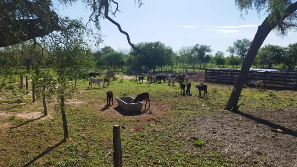 Vendo Estancia de 2.500 Hectáreas en Mcal. Estigarribia, Boquerón - CLCS7426071 — foto 3