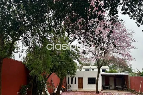 VENDO TERRENO EN LUQUE BARRIO LAURELTY!! — фото 2