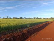 CEDRALES, ALTO PARANÁ: ALTAMENTE AGRICOLA, UTILIDAD MULTIPLE, TIERRA COLORADA PREMIUM.
