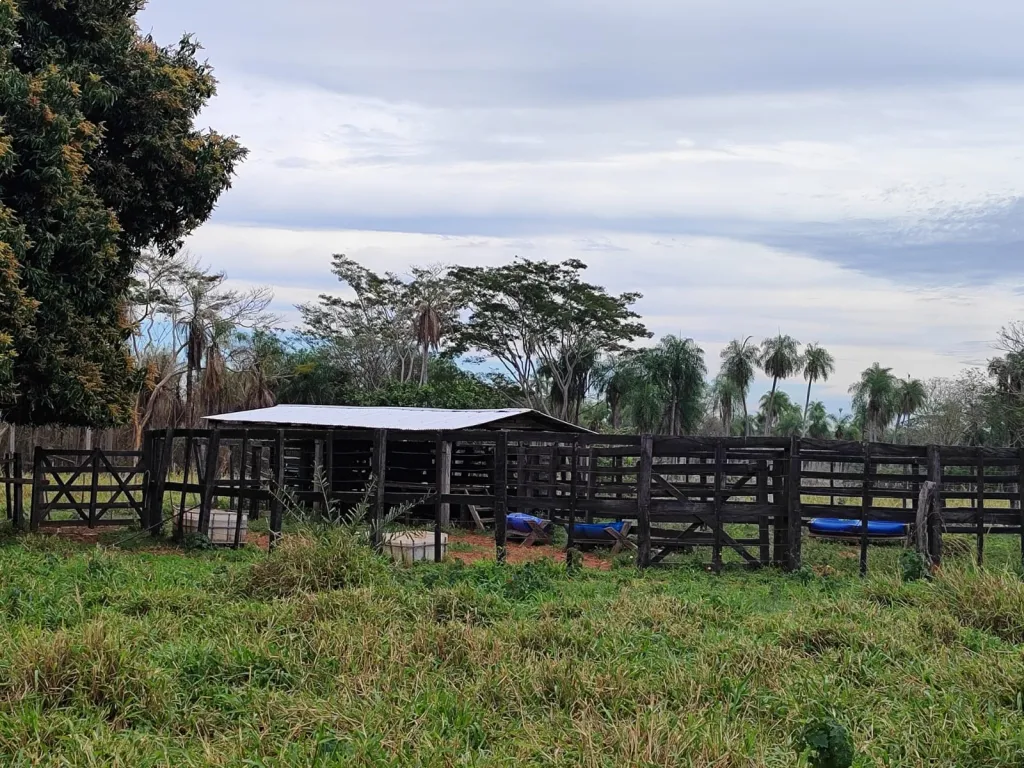 VENDO 15 HECTAREAS EN YAGUARON COD 3831 — foto 3