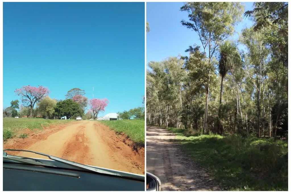 ITAPÚAFRAM. HOHENAU, MECANIZADAS: TIERRA ROJA, MIXTA Y NEGRA C INFRAESTRUCTURAS + EUCALI — foto 2