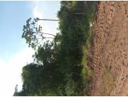 Terreno Capiata km 23 ruta 1