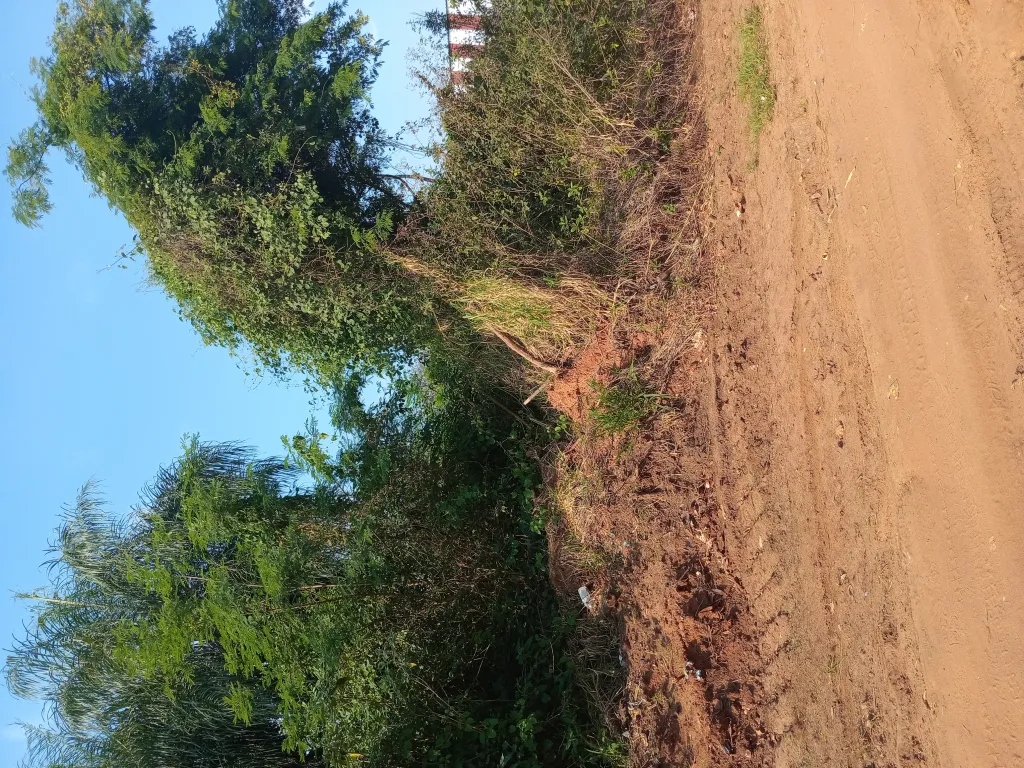 Terreno Capiata km 23 ruta 1 — foto 2
