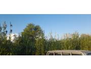 BOQUERON - ZONA PRATS GILL - EXCELENTE ESTABLECIMIENTO GANADERO EN VENTA!!