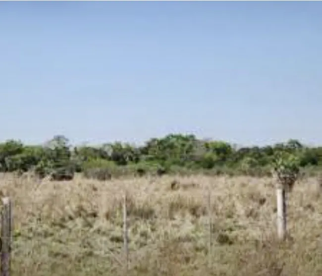 1.891 HECTAREAS CAMPO ZONA LA PATRIA - CHACO — foto 2