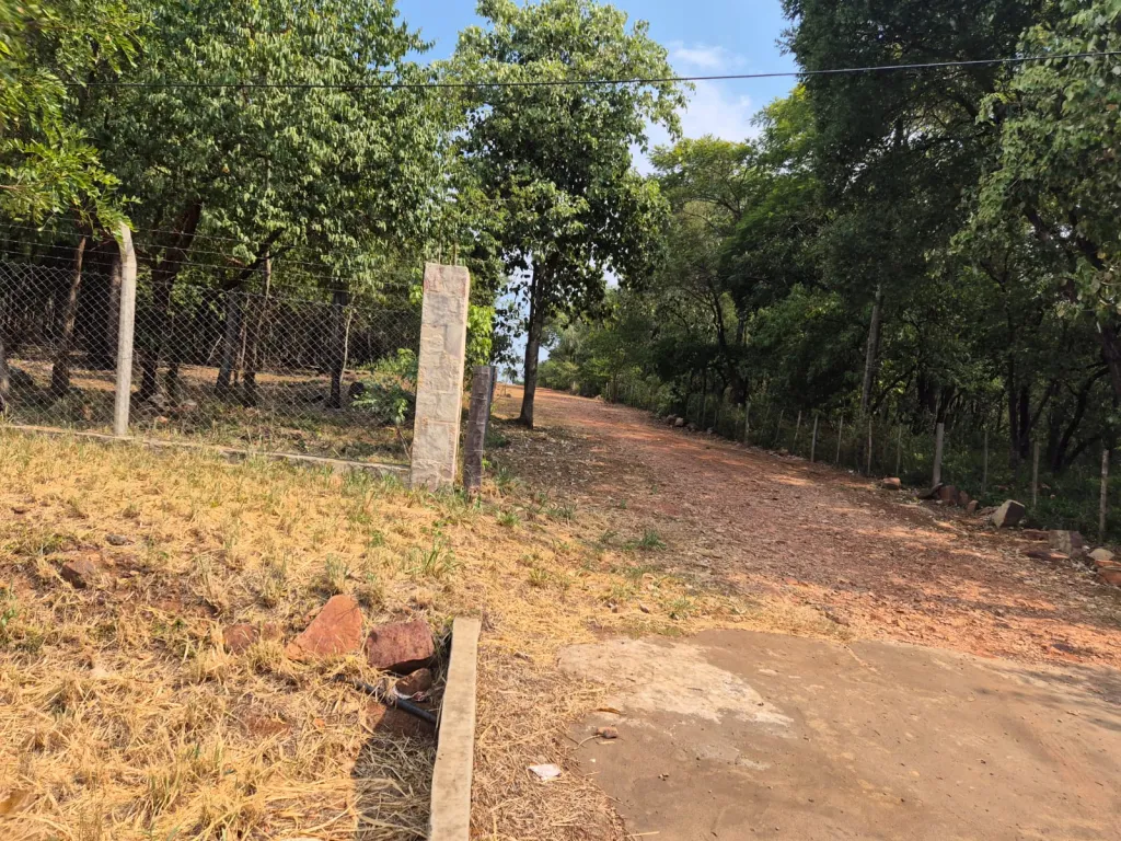 Venta de lotes desde 1.000 m2 - San Bernardino — foto 3