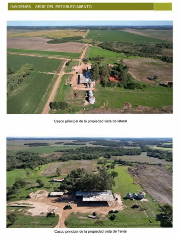 SAN PEDRO DEL PARANÁ, ITAPÚA: 2.508 HAS INIGUALABLES! AGRO-GANADERAS, SOJAS, ALTA PRODUCTI — foto 3
