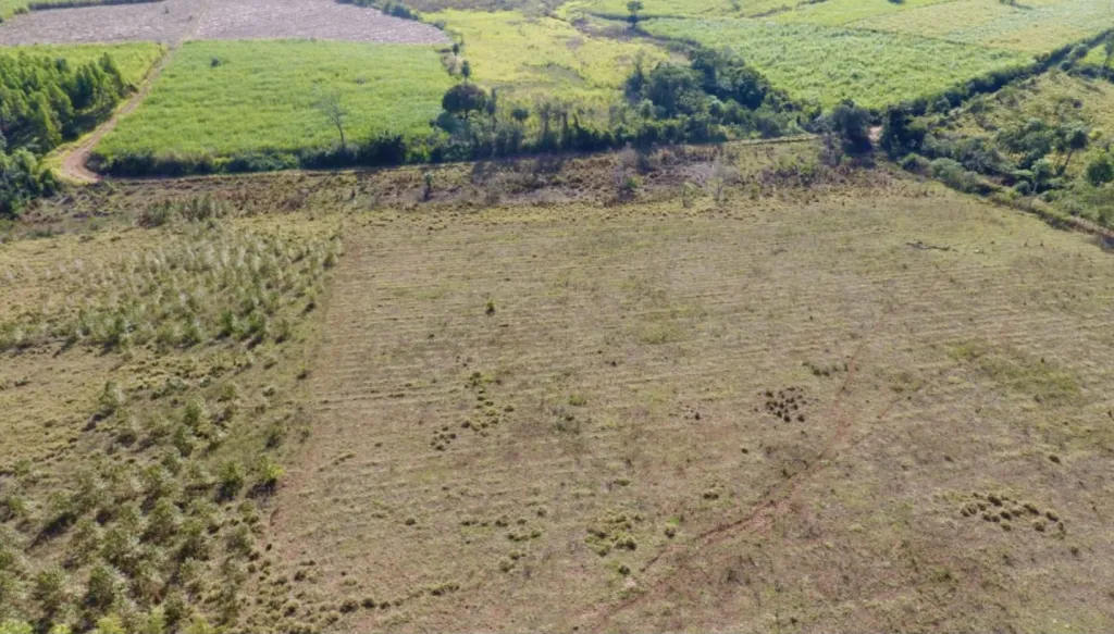 Campo en venta en Colonia Jorge Naville, Mbocayaty del Guairá — foto 3