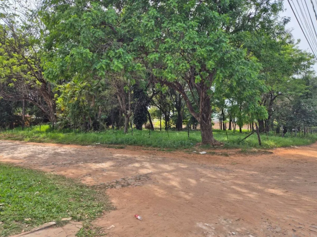 En Venta Terrreno en Mariano Roque Alonso ID 41287 — foto 2