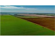 ITAKYRY - ALTO PARANÁ: 1.060 HECTÁREAS AGRÍCOLAS, P/SOJA, SIN INFRAESTRUCTURA.
