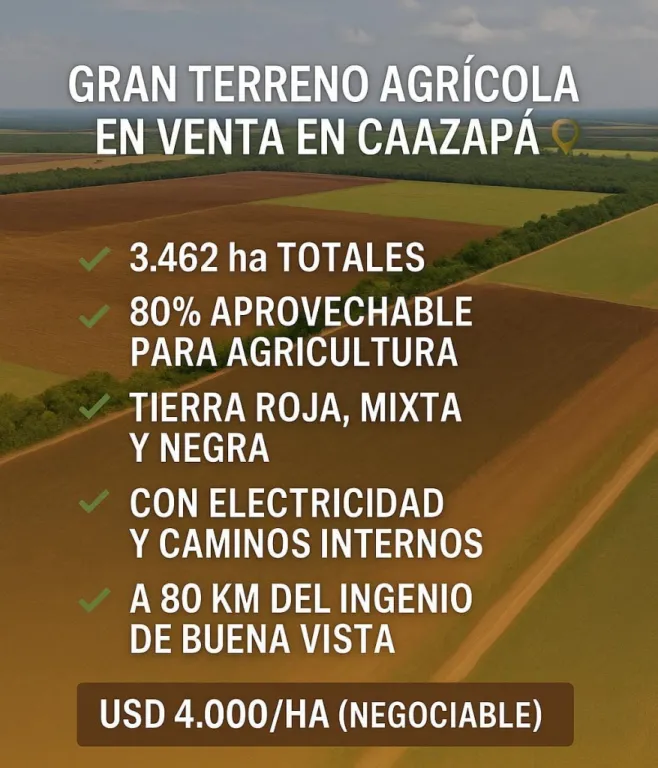 CAAZAPÁ, AGRÍCOLA 100% 3.462 HAS, SOJERA FULL, TIERRA, ROJA, MIXTA, NEGRA, 4.000 USDHA — foto 3