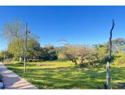 VENDO INTERESANTE TERRENO EN AREGUA