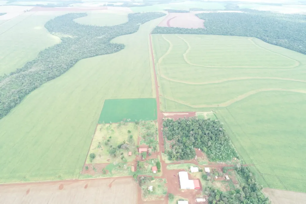 SANTA RITA: 1.042 HAS, EXCELENTE TIERRA APTA P SOJA Y OTROS, INFRAESTRUCTURA BASE. — Foto 2