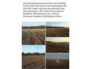 SAN PEDRO DEL PARANÁ: 804 HAS, MECANIZADA + MONTE NATURAL, 3.000 USD/HA .