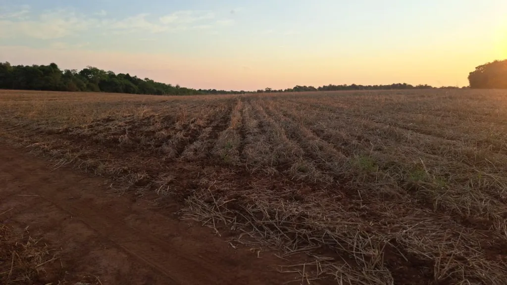 SAN PEDRO DEL PARANÁ: 804 HAS, MECANIZADA + MONTE NATURAL, 3.000 USDHA. — foto 2