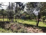VENDO 3 TERRENO EN LUQUE junto o separados