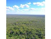 VENDO CAMPO DE 10.500 Há EN ZONA CHOVORECA DE ALTO PARAGUAY - CHACO PARAGUAYO