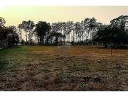 VENDO TERRENO 1 HECTAREA RUTA LUQUE SAN BERNARDINO