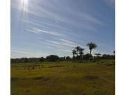 VENDO 45 HECTAREAS EN PARAGUARI CERCA DE CAÑADA, ROQUE GONZALES COD 3449