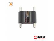 Common Rail Injector Valve F 00V C01 004