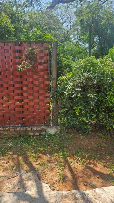 VENDO TERRENO EN MARIANO ROQUE ALONSO - CENTRO — foto 2
