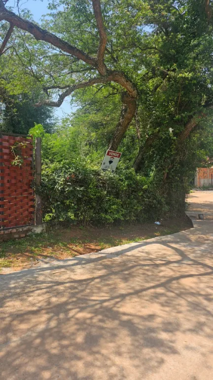 VENDO TERRENO EN MARIANO ROQUE ALONSO - CENTRO — foto 3