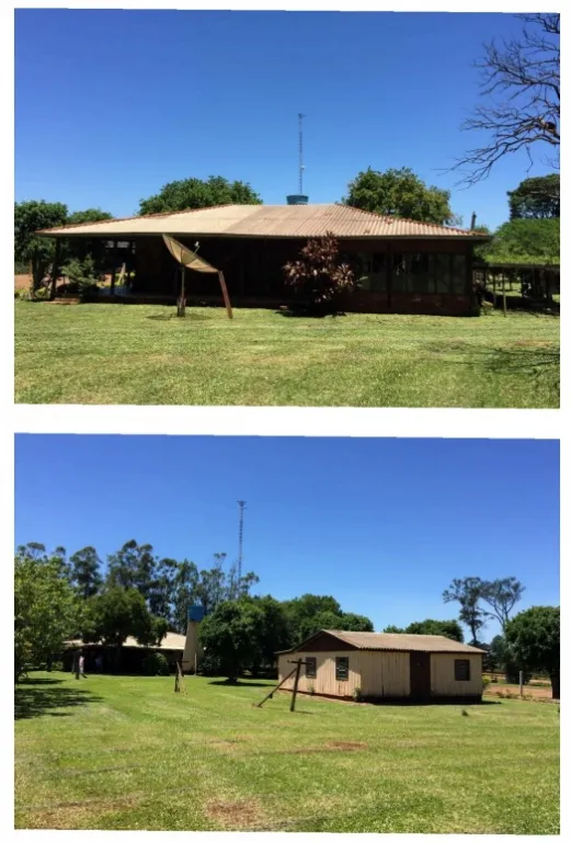 ITAKYRY, ALTO PARANÁ: 1.025 HAS MECANIZADAS, PASTURA, EQUIPADA, 12.000 USDHA. — foto 2