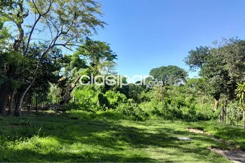Vendo terreno de 3.256 m² en Capiatá, Rojas Cañada zona Capsa a metros de la Ruta 2 — foto 2