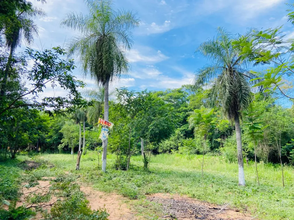 Vendo terreno de 6080 m2 en San Bernardino — foto 3