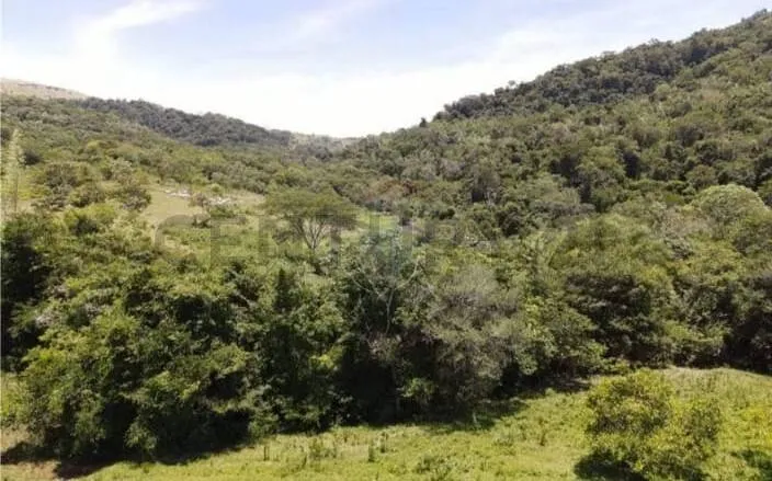 EN VENTA 52 HECTAREAS EN COLONIA INDEPENDENCIA — foto 2
