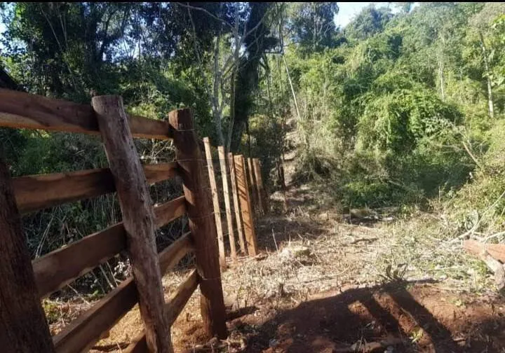 EN VENTA 52 HECTAREAS EN COLONIA INDEPENDENCIA — foto 3