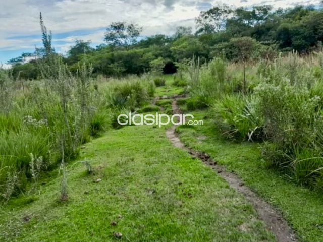 Propiedades rurales - Terreno Rural en Yataity - 16 Ha.