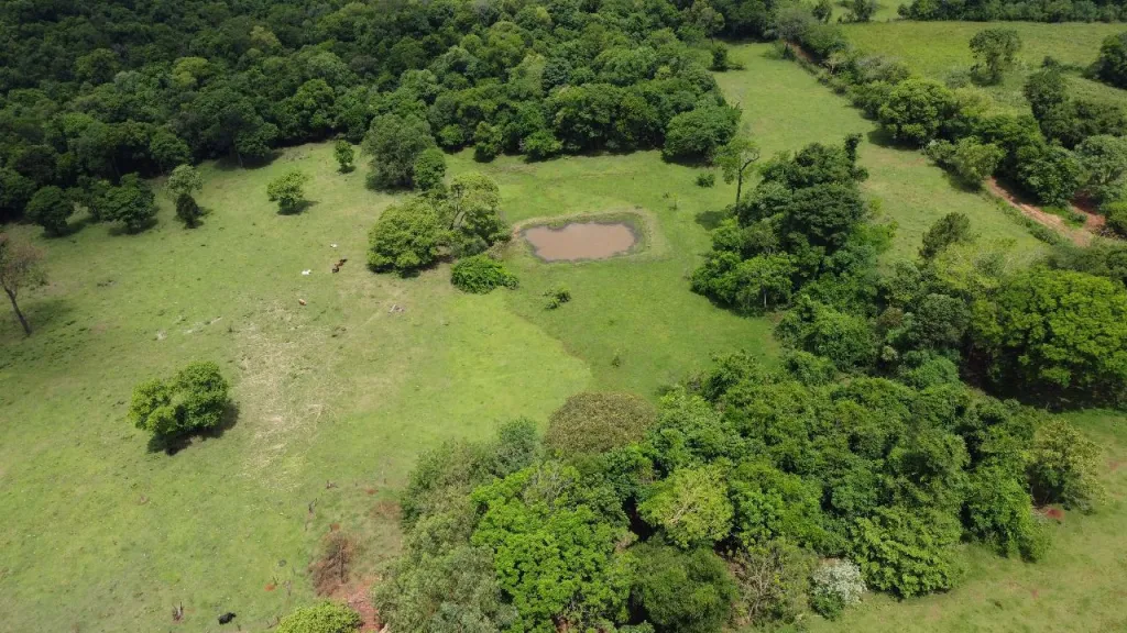 EN VENTA 57 HECTAREAS EN CARMEN DEL PARANA — foto 2
