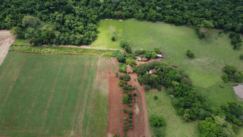 EN VENTA 57 HECTAREAS EN CARMEN DEL PARANA — foto 3