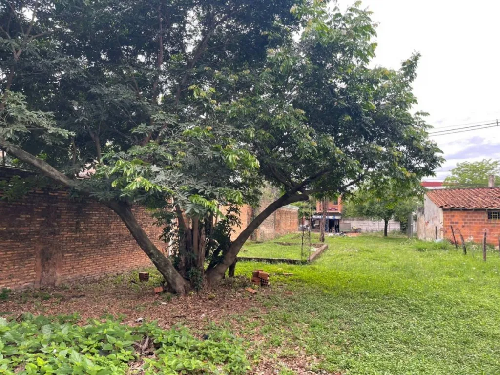 VENDO HERMOSO Y AMPLIO TERRENO EN EXCELENTE UBICACIÓN EN LUQUE, BARRIO LOMA MERLO — фото 3