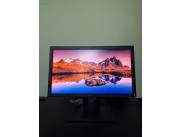 Monitor Dell