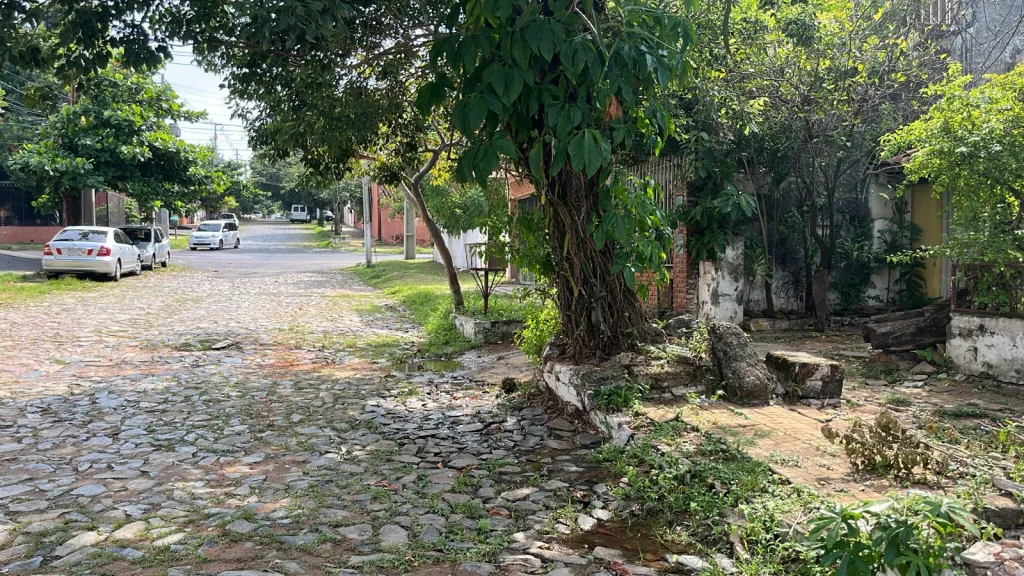 TERRENO EN VENTA — foto 2