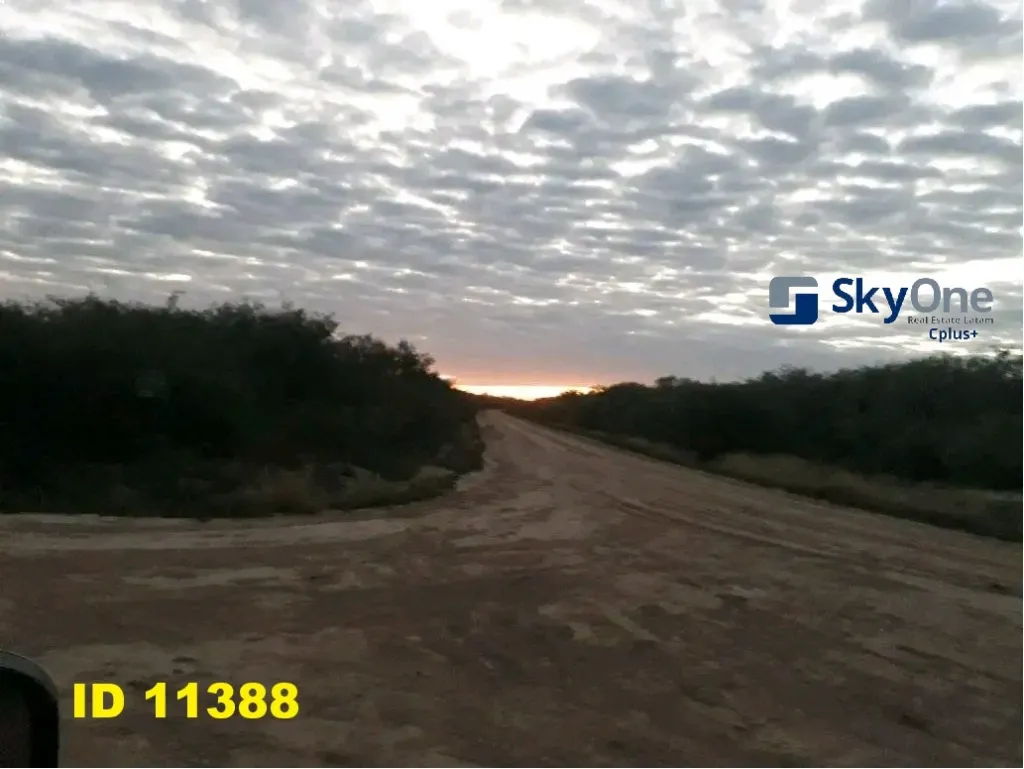 🐄🐂🌳 VENDO ESTANCIA EN ALTO PARAGUAY-FORTIN FLORIDA, 1500HAS🌳🐂🐄 — foto 2